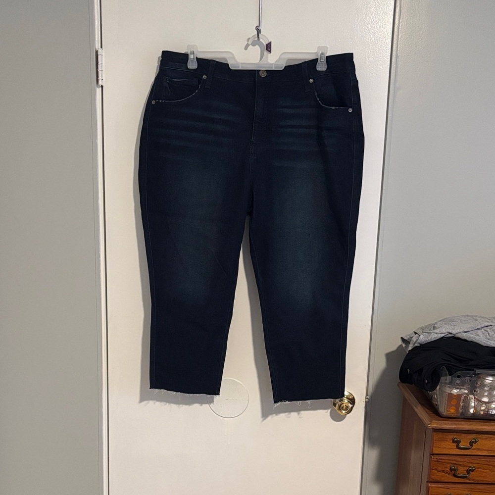 Terra & Sky Dark Indigo Ankle Jeans